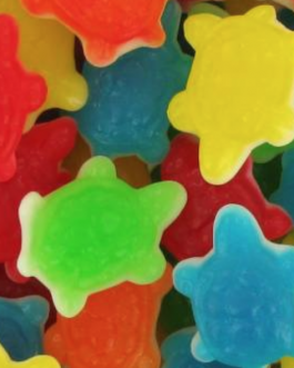 Tortues lisses goût fruits