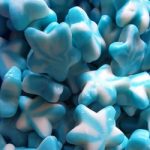 etoile-bleu-lisse-halal