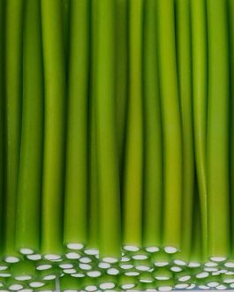 Mini jumbo lisse goût pomme