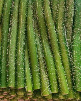 Mini jumbo sucré goût pomme